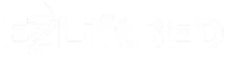 EzLift Bed
